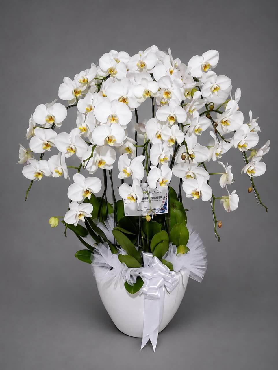 Rangkaian anggrek bulan putih Amarin Florist
